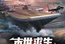 末世求生:从木筏到航母章节免费在线阅读,宁风安雨澄完结版-艾米文学