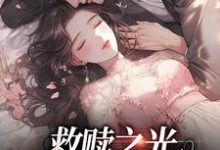 救赎之光：我是你的太阳免费阅读，救赎之光：我是你的太阳章节目录-艾米文学