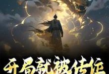 开局就被传位，成为万古一帝刘昊在线章节免费阅读-艾米文学