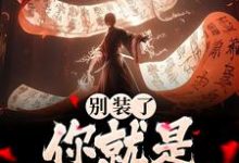 别装了！你就是剑道至尊章节免费在线阅读，苏南完结版-艾米文学