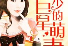 帝少的巨星萌妻小说的免费阅读版本在哪里可以找到？-艾米文学