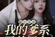 完结版《甜中带虐:我的爹系霸总男友》在线免费阅读-艾米文学