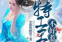 楼轻羽莫如尘莫竹君楼淡云的小说在哪里看？免费在线阅读特工王妃不好惹-艾米文学