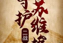 已完结小说《二战:守护苏维埃》章节在线阅读-艾米文学