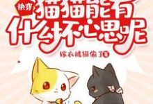 快穿：猫猫能有什么坏心思呢小说的免费电子版在哪里可以下载或阅读？-艾米文学