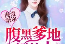漫漫婚途:腹黑爹地很给力许沐恩秦桦小说在线章节目录阅读最新章节-艾米文学