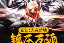 免费看玄幻:人在禁地,镇压反派的我无敌了小说的网站有哪些?-艾米文学