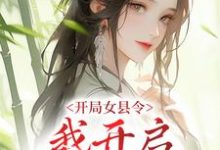 开局女县令,我开启基建之旅小说,开局女县令,我开启基建之旅免费阅读-艾米文学