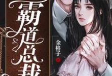 小娇妻的霸道总裁钟念初玄夜凌，小娇妻的霸道总裁小说免费阅读-艾米文学