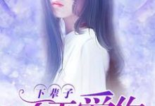 完结版《下辈子，不再爱你！》章节目录在线阅读-艾米文学