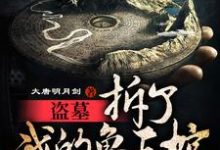 鲁震鲁王宫张起灵鲁王的故事在哪本书里？免费阅读盗墓：拆了我的鲁王棺，还想出墓-艾米文学