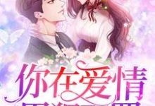 苏瑾叶陆聂琛小说在线章节免费阅读（你在爱情里犯了罪无弹窗无删减）-艾米文学