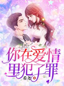 苏瑾叶陆聂琛小说在线章节免费阅读（你在爱情里犯了罪无弹窗无删减）