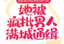 求揣崽跑路那夜，她被疯批男人满城通缉小说的全文免费阅读链接-艾米文学