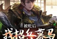 被贬后,我招兵募马八十万免费阅读,被贬后,我招兵募马八十万 朱文杨英-艾米文学