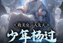 免费在线阅读收美女，入先天，少年杨过以武立国小说的正规网站有哪些？-艾米文学