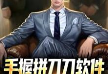 已完结小说《手握拼刀刀软件,我化身神豪巨佬》最新章节-艾米文学