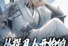 从捉刀人开始的氪金变强之路(苏尘)在线免费阅读-艾米文学