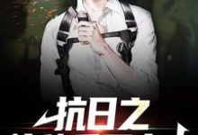 抗日之特种兵王出击小说，抗日之特种兵王出击最新章节-艾米文学