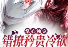哪里可以免费读到霍时砚黎笙的完整故事?寻找掌心独宠:错撩矜贵冷欲商圈太子爷-艾米文学