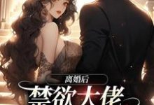 《离婚后，禁欲大佬求我跟他回家》小说主角苏暖沈宴行章节章节免费在线阅读-艾米文学