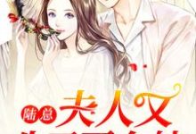 陆总,夫人又生了两个娃小说的免费阅读版本在哪里可以找到?-艾米文学