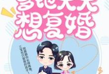 《萌宝闹翻天：爹地天天想复婚》小说章节列表免费试读，叶揽希赫司尧小说在线阅读-艾米文学