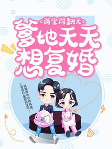 《萌宝闹翻天：爹地天天想复婚》小说章节列表免费试读，叶揽希赫司尧小说在线阅读