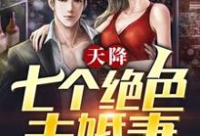 已完结小说《天降七个绝色未婚妻》章节免费阅读-艾米文学
