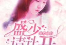 凌珠珠盛云阳温颜为主角的小说好看吗?免费读强势锁婚:盛少,请让开-艾米文学