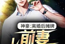 神豪：离婚后摊牌，前妻悔不当初小说，神豪：离婚后摊牌，前妻悔不当初免费阅读-艾米文学