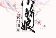 农门团宠小娇娘(张桂芳妍妍孟安孟妍)在线免费阅读-艾米文学