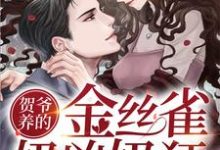 主角叫黎姜贺琛的小说在哪阅读-艾米文学