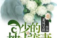 司少的枕上宠妻北辰司夏卿卿，司少的枕上宠妻最新章节-艾米文学
