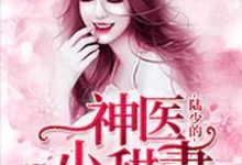 免费在线阅读陆少的神医小甜妻小说的正规网站有哪些?-艾米文学