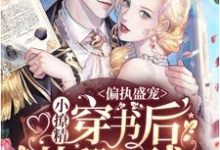 沐遥陆辰渊洛盈烟是哪本书的主角？偏执盛宠：小撩精穿书后苏翻全球免费读-艾米文学