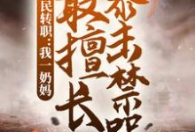 全民转职：我一奶妈，最擅长暴击禁咒免费阅读，全民转职：我一奶妈，最擅长暴击禁咒韩牧历飞雨-艾米文学