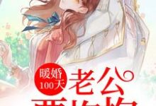 在线搜索宁肖然顾淮宁宁筱安陆向北的完整小说,免费阅读暖婚100天:老公要抱抱-艾米文学