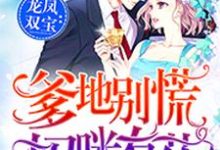 龙凤双宝：爹地别慌，妈咪有药唐晚心墨时琛，龙凤双宝：爹地别慌，妈咪有药在线无弹窗阅读-艾米文学