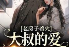 完整版的老房子着火:大叔的爱势不可挡小说在哪里可以免费读到?-艾米文学