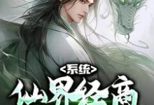 主人公苏黎小说系统:仙界经商,我成无上古神在线章节阅读-艾米文学
