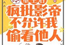 裴炎江澈为主角的小说叫什么？免费看重生后，疯批影帝不允许我偷看他人-艾米文学