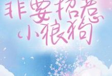 主角宋砚西覃郁小说干什么不好？非要招惹小狼狗免费阅读-艾米文学