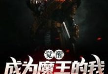 小说《觉醒:成为魔王的我加入了聊天群》章节免费阅读-艾米文学