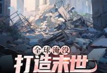 《全球淹没:打造末世新体系》全集免费在线阅读( 胡幽叶婉秋)-艾米文学