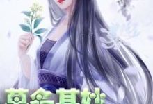 莫名其妙世子妃小说,莫名其妙世子妃轩辕琼华君墨宸君墨安轩辕如卫-艾米文学