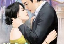 战太太又逃婚了这本小说怎么样?免费在线阅读试试-艾米文学