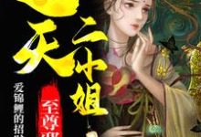至尊邪凤：逆天二小姐上官凤萧弈柳诗诗，至尊邪凤：逆天二小姐章节在线阅读-艾米文学