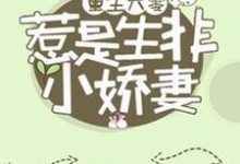 重生六零：惹是生非小娇妻最新章节，重生六零：惹是生非小娇妻免费阅读-艾米文学