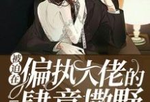 主角苏冉孤沛烈小说完结版在线阅读，被迫在偏执大佬的心上肆意撒野免费看-艾米文学